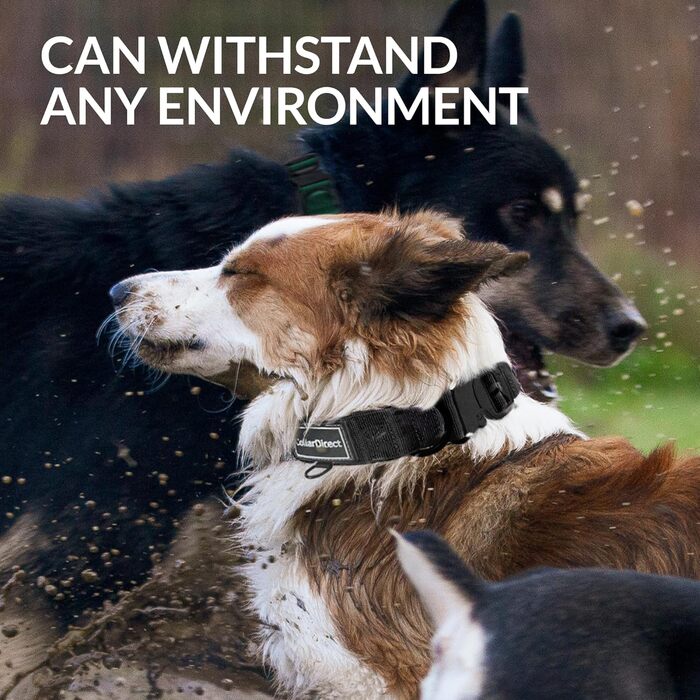 Міцний нашийник для собак великих та середніх порід – регульований, двошаровий нейлон, металева застібка, стійкий до розривів, ідеальний для активних собак (Чорний, Великий (38-58 см))