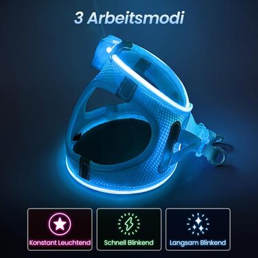 Світлодіодне нашийник для собак PcEoTllar: безпека та видимість у темряві (3 режими, S, блакитний)