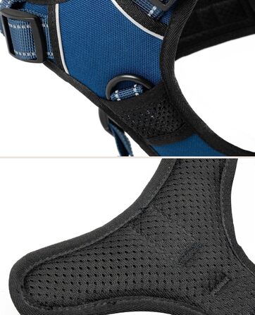 Нашийник для собак Lionto, м'який, нейлон, розмір M, анти-тяга, з 2 кільцями, 4 регульованими ремінцями, 2 застібки, гумовий ручка, блакитний