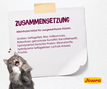 Сухий корм для літніх котів JOSERA Senior, без пшениці, 10 кг