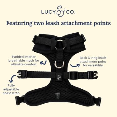 Шлея для собак Lucy & Co. Rosewater Teddy, не тягне, розмір L, прогулянкова та тренувальна, м'яка, з регульованими ременями