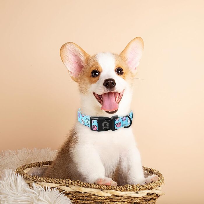 Собачий нашийник до Дня Валентина MR. CHUBBYFACE Blue Love, милий для хлопчиків і дівчаток, для малих, середніх і великих собак