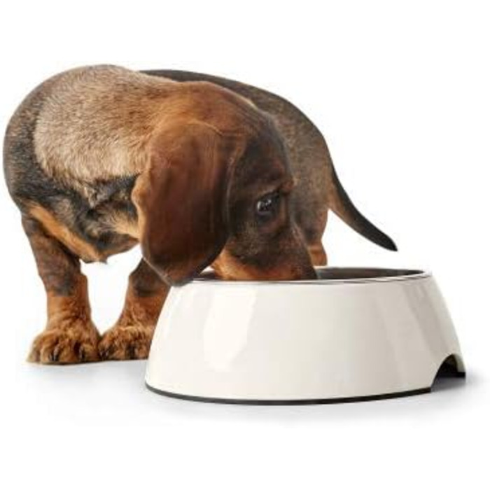 Миска HUNTER Melamin, petrol, 350 мл, з нержавіючої сталі, неслизька, стійка до подряпин та ударів, легко миється, для посудомийної машини