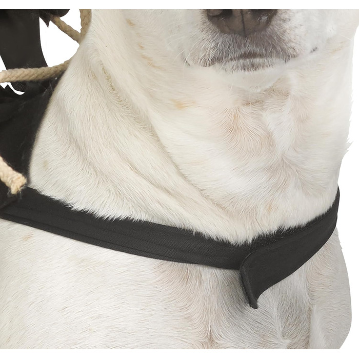 Костюм для домашніх тварин Fun World Ghost Face Rider, чорний, розміри L, XL