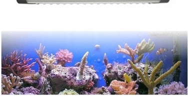 Світлодіодна LED-лампа LUMI FLORA для акваріума 5730, біле світло, 30 см