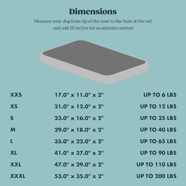 Міцне собаче ліжко Stoutwool – м'яка та надійна підстилка в собачу будку – стійка до пошкоджень, для агресивних собак, легко миється, ідеально для маленьких порід, розмір 58 x 41 x 5 см, Jacaranda