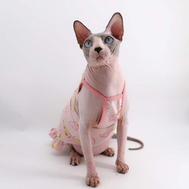 Бавовняна кофта для котів і малих собак Sphynx, однотонна, розмір M (2,5–3,2 кг), колір «Морозиво»