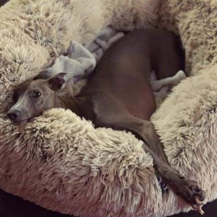 Преміум ортопедичне ліжко для собак великих та екстра-великих порід, Donut ліжко для собак, м'який плюш, кругла собача софа з водонепроникним дном, миється (80см), розмір: 80 x 50 x 18 см, світло-коричневий