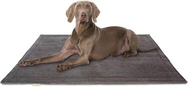 Лежанка для собак Knuffelwuff Timor, 100x70 см, антрацит. М'яка, зручна, легко миється. Підходить для собак великих, середніх та малих порід.