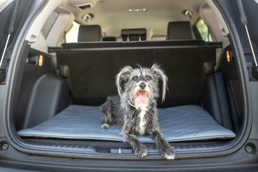 Килимок для собак BARRY & LUCY: лежанка, килимок в авто, килимок для годування. Легкий догляд, водонепроникний, штучна шкіра (55x75/75x55, чорний)