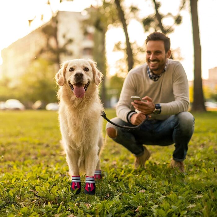 Чоботи для собак Dricar, 4 шт. Водонепроникні, антиковзні, з регульованими ремінцями. Зимові чоботи для собак середніх та великих порід для прогулянок на вулиці та в приміщенні (червоні, XL)