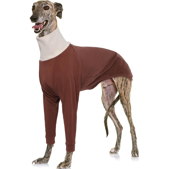 Пуловер для Віндгорн (Грейхаунд) IECOii: теплий, з високим коміром, з флісу, чорний, XS-XXL