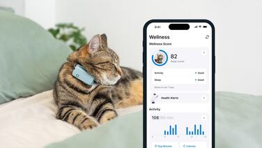 GPS-локатор для котів Tractive CAT Mini — світло-зелений