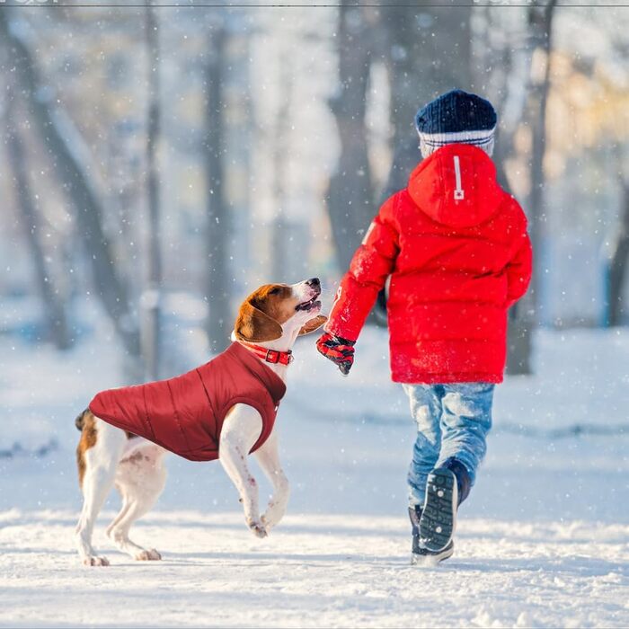 Зимовий одяг для собак Meioro: тепла куртка, флісова жилетка, м'який світшот для маленьких та середніх собак (XXL, Rosso)