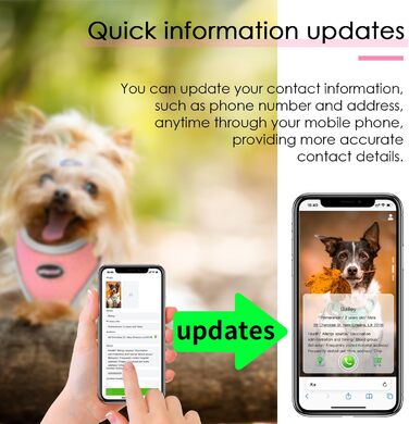 Шлейка для собак і котів ThinkPet XS, повітропроникна, відбивна, без удушення, з QR-кодом і адресником, бірюзова