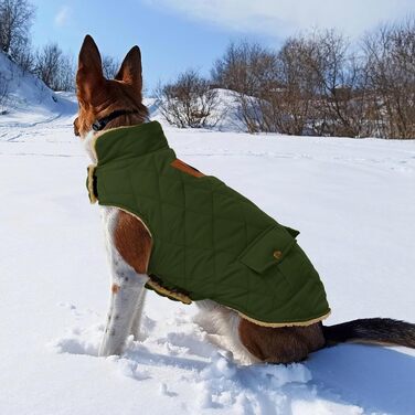 Зимовий теплий одяг для собак: куртка з флісу, підходить для чихуахуа та такс, з отвором для повідка, зелена, XS
