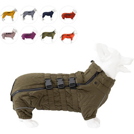 колір: доручіть мені (leaf it to me)