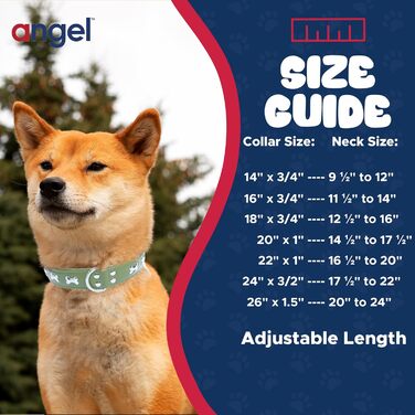 Шкіряний нашийник для собак Angel Pet Supplies, зелений, подвійний, м'яка підкладка, 40,6×3 см, для шиї 29,2–35,6 см