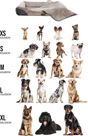 Корзина для собак Normani з підстилкою - лежанка для тварин, 60x80 см, бежева