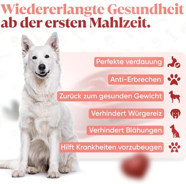 Миска для собак великих порід, повільне годування, антигликальна миска, для здоров'я травлення, проти блювоти, нековзна підставка, рожева, для великих та XXL собак