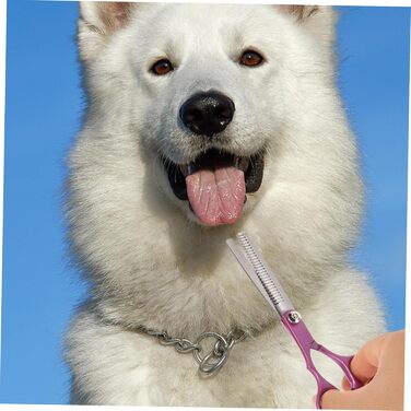 Набір професійних ножиць для грумінгу собак Milisten з нержавіючої сталі. Ергономічний дизайн, для безпечного стриження та догляду за шерстю.