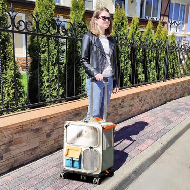 PETCUTE Рюкзак для собак з візком, 2-в-1, рюкзак для котів великих порід з колесами, дихаючий рюкзак-переноска для собак з вийманим килимком, складаний рюкзак для тварин для цуценят Бежевий+Зелений