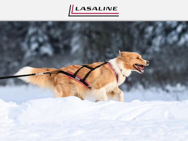 LASALINE Шлея X-Back для собак, для канікросу, їзди на велосипеді, дожскутеру та санках, чорна з неоново-жовтим