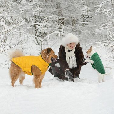 Зимовий теплий дощовик для собак великих порід Lelepet, XL (зелений)