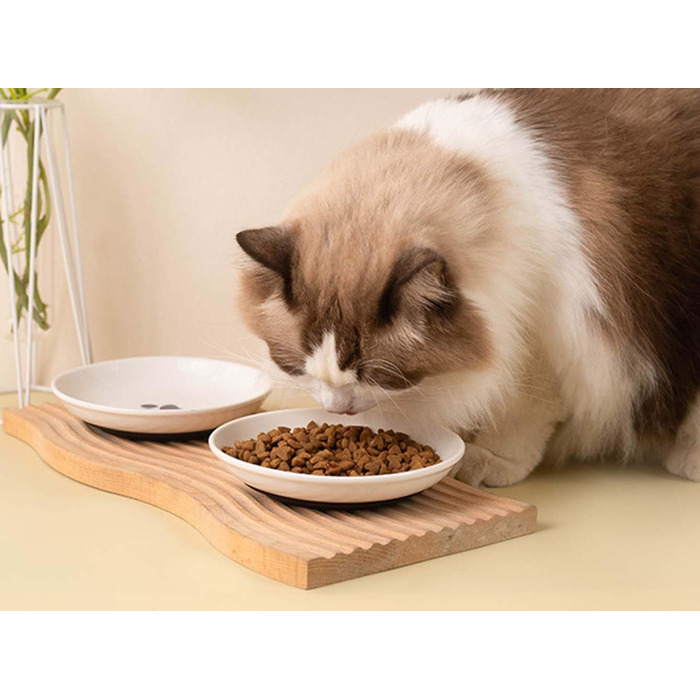 Набір мисок для котів з підняттям, 2 шт. - запобігання болю в шиї, широкі миски, анти-блювотні, з нековзною підкладкою (чорний)