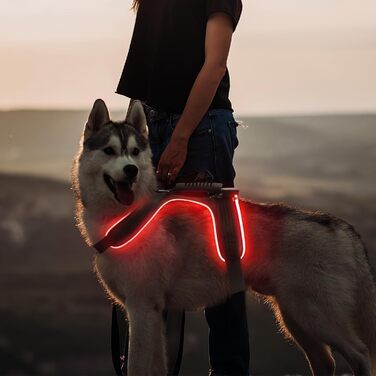 Світлодіодне обіднє нашийник для собак Masbrill, світловідбиваючий, з регулюванням, з ручкою, для малих, середніх та великих собак (Чорний/Червоний, S)