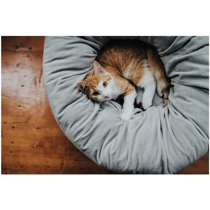 Крізьоке ліжко для домашніх тварин HUNTER Miranda, сірий, 50x50 см, для собак та котів