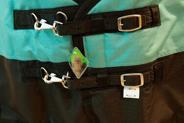 Зимова попона для коня Saddlery4U, Ripstop 1200D, 400 г утеплювач, високий захист шиї, бірюзово-чорна