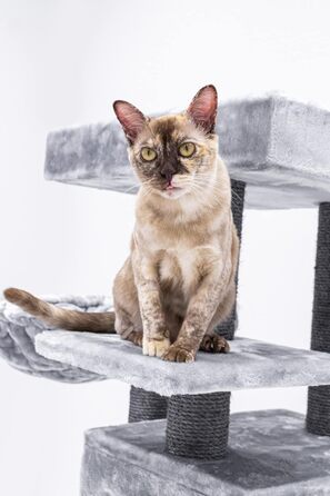 Дизайнерський котячий дряпак Petrebels Cleopatra 134 см, преміум-якість, сіра XL лежанка, котяча хатка, стовпи Ø9 см