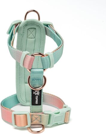 Нашийник для собак середніх порід TSPRO, не тягне, жовто-зелений градієнт, розмір 2 (40-70 см)