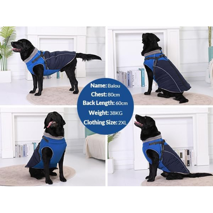 Зимовий теплий одяг для собак Konvinit: куртка з підкладкою з флісу, світловідбиваючі елементи, для собак середніх розмірів, розмір M, зелений/синій (M: обхват грудей 53 см)