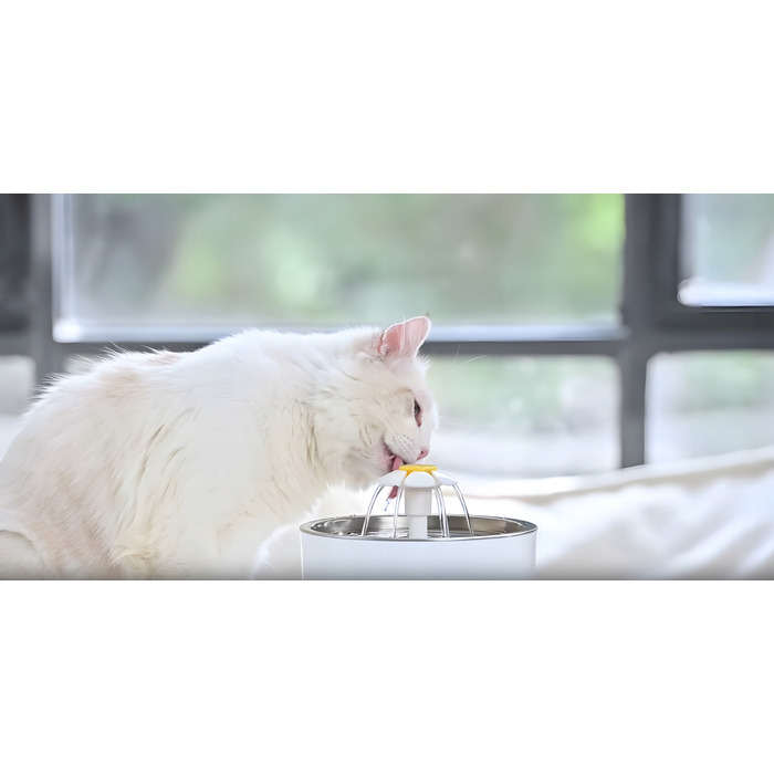 Автонапіيвалка-фонтан Renew Force, пластик, 2400 мл