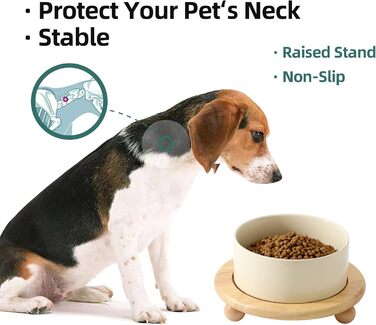 Підвищений годівниця для собак та котів Havniva, кераміка, бежевий, з підставкою (15.2 см)