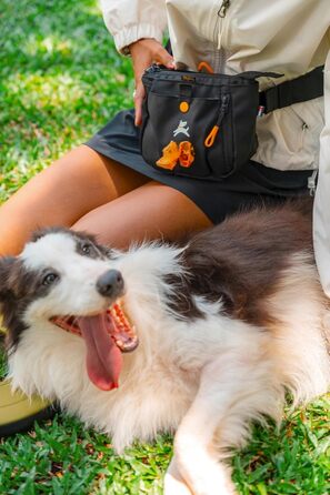 ОлліДог Backcountry Tagestasche: Сумка для ласощів та відходів для собак, з відсіком для кульок, на пояс (Raven S'25)