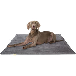 колір: сірий