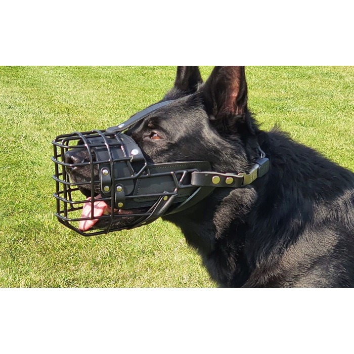 Пластиковий намордник Dingo Gear
