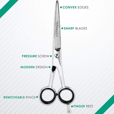 Набір професійних перукарських ножиць Focus World 6.5 дюймів (FW-SET-01) - срібло