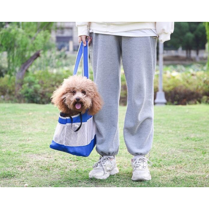 Сумка-переноска для собак та котів, літня, з сіткою, блакитна