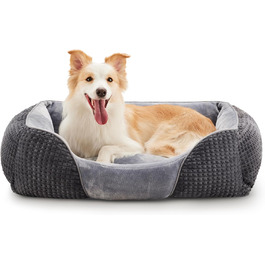 колір: сірий