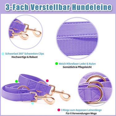 Набір собачий: шкіряний нашийник та поводок (2м) - регульований, з металевою застібкою Rose Gold, для собак різних розмірів, фіолетовий, M (XS, ширина 1.5см)