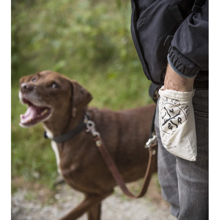 Преміум шкіряний нашийник для собак Jack Russell Lilly - нашийник з натуральної шкіри телятини, нашийник для собак, шкіряний (XXL, Коричневий/Чорний) XXL - обхват шиї 49,0-60,5 см Коричневий/Чорний
