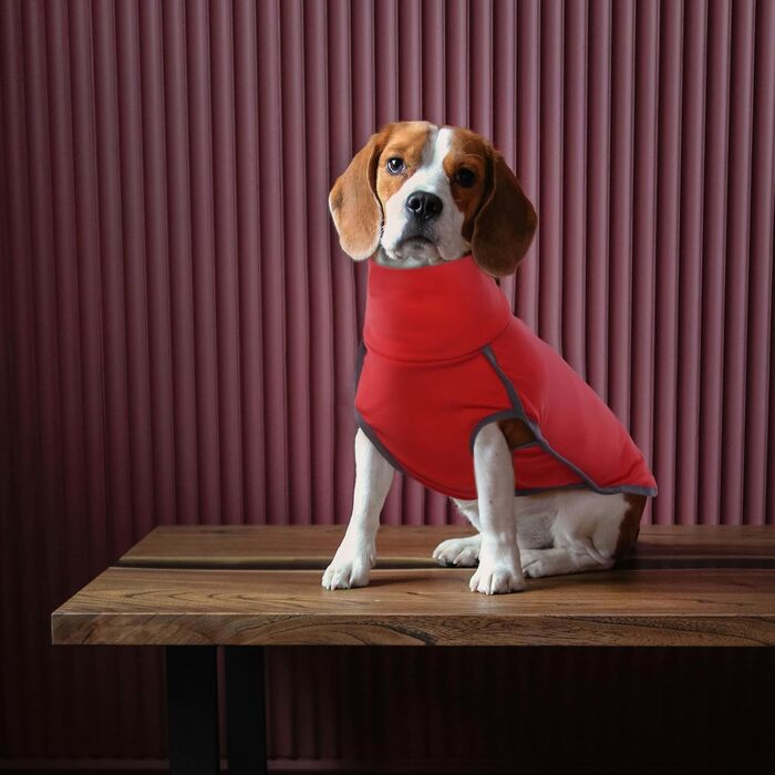 Теплий зимовий пуловер для собак Rozkitch з отвором для повідка, великий розмір, світлий, для прогулянок, подорожей та сну