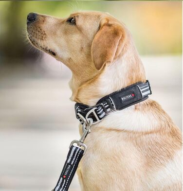 Нашийник для собак Wolters Active Pro, розмір 45-52 см, чорний