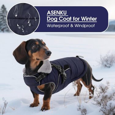 Зимовий одяг для собак ASENKU: теплий, водонепроникний, вітрозахисний, з світловідбиваючими елементами. Підходить для малих, середніх та великих собак. Кольори: зелений (S), синій (S).