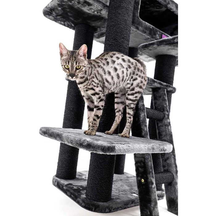 Дряпак для котів Petrebels Maine Coon, Estate, 170 см, XXL, чорний