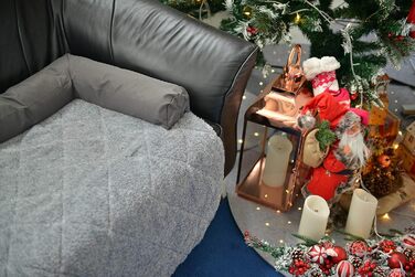 Крісло-ліжко для собак Raikou: комфортне місце для відпочинку, захист дивану та багажника, антиковзаюче покриття, легко миється, підходить для великих і маленьких собак (70x90 см, світло-сірий)